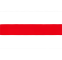 icon-logo